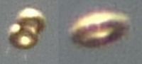 ドーナツ型UFO02写真